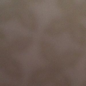 Meet your Posher, Carlyelis